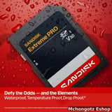 SanDisk 256GB Extreme PRO SDXC UHS-I Memory Card C10 U3 V30 4K UHD - image 2