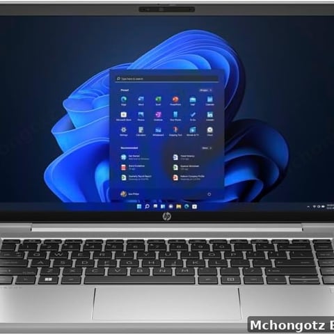 HP ProBook 440 G10 Core i5 13th Gen | 8GB RAM | 512GB SSD | 14" Laptop Price in Tanzania
